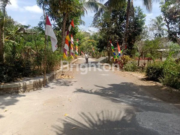 image TANAH LUAS MURAH STRATEGIS TINGGAL SATU KAVLING, JALUR WISATA KULON PROGO (3)