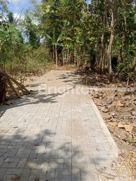 image TANAH LUAS MURAH STRATEGIS TINGGAL SATU KAVLING, JALUR WISATA KULON PROGO (5)