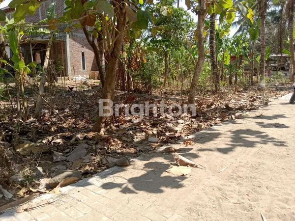 image TANAH LUAS MURAH STRATEGIS TINGGAL SATU KAVLING, JALUR WISATA KULON PROGO (6)