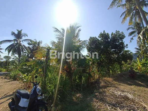 image TANAH MURAH PINGGIR JALAN VIEW BUKIT DAN LAUT BULELENG (1)