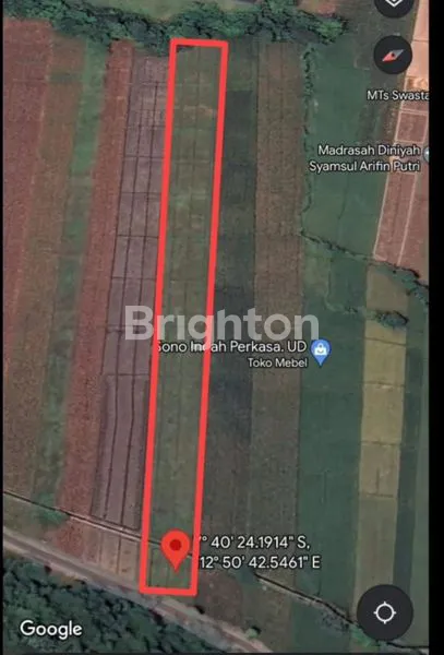 image TANAH SAWAH PASURUAN  (3)