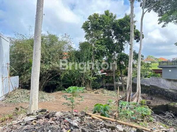 image LEASEHOLD LAND IN CANGGU - TANAH 7 ARE CANGGU (6)