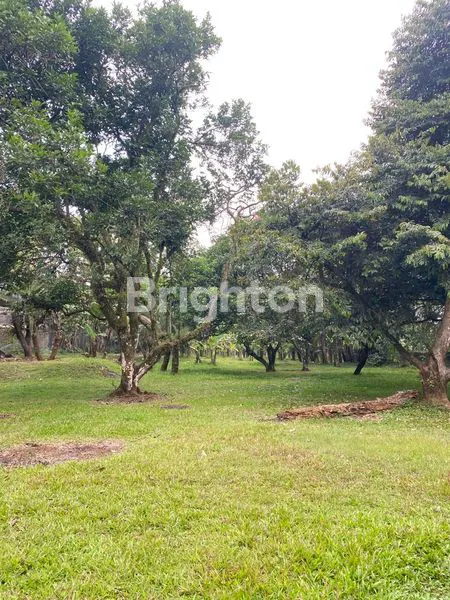 image TANAH KATULAMPA BOGOR COCOK UNTUK BANGUN CLUSTER, 5 MENIT DARI SUMMARECON BOGOR (5)