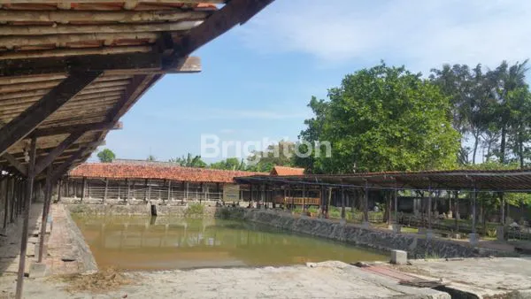 image TANAH EX PEMANCINGAN, BEKASI (7)
