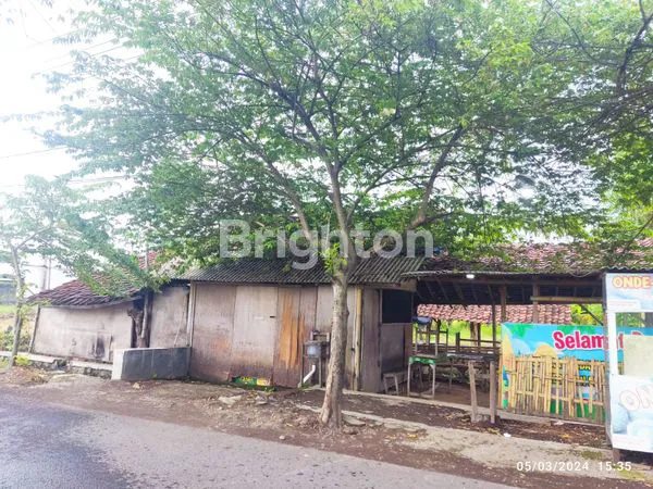 image LAHAN PAKIS BANYUWANGI (3)