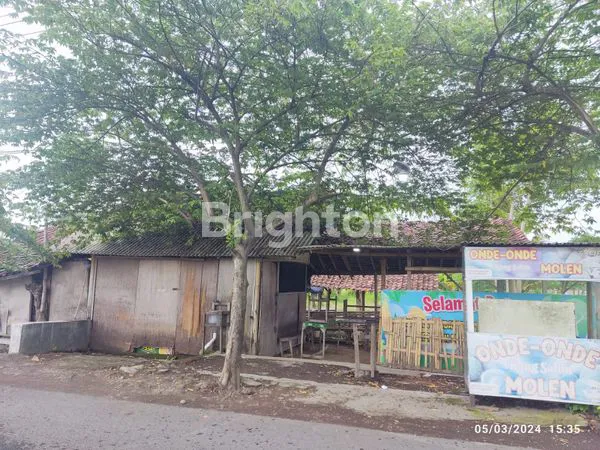 image LAHAN PAKIS BANYUWANGI (6)