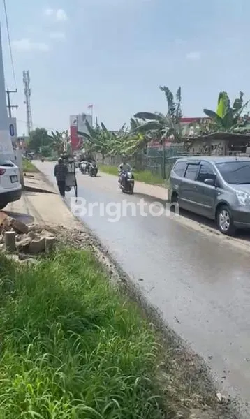 image TANAH IMPIAN 1000M² DI TARUMAJAYA: BANGUN RUMAH MEWAH ATAU BISNIS ANDA (2)