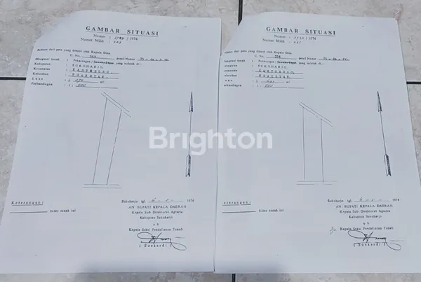 image RUMAH BONUS KOLAM TERNAK IKAN (2)