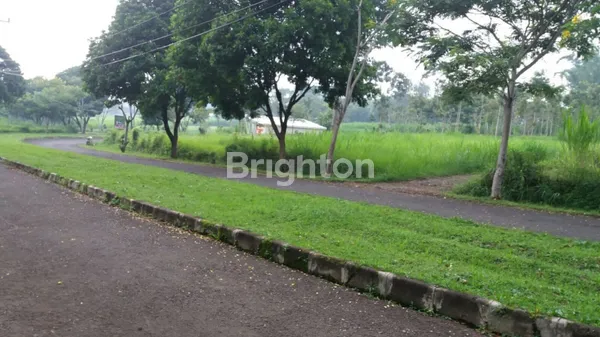 image LAHAN TANAH KOSONG DI BATU (2)