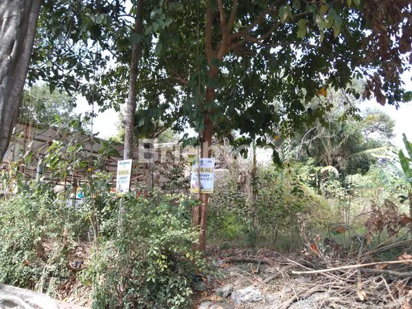 TANAH STRATEGIS, PINGGIR JALAN NASIONAL, JL. YOGYAKARTA - MAGELANG,BERAN, SCH SLEMAN CITY HALL