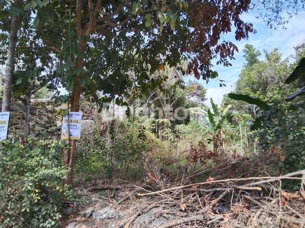 image TANAH STRATEGIS, PINGGIR JALAN NASIONAL, JL. YOGYAKARTA - MAGELANG,BERAN, SCH SLEMAN CITY HALL (2)