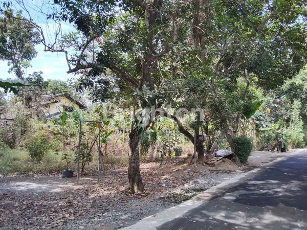 image TANAH STRATEGIS, PINGGIR JALAN NASIONAL, JL. YOGYAKARTA - MAGELANG,BERAN, SCH SLEMAN CITY HALL (5)