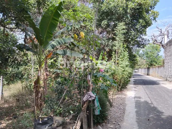 image TANAH STRATEGIS, PINGGIR JALAN NASIONAL, JL. YOGYAKARTA - MAGELANG,BERAN, SCH SLEMAN CITY HALL (7)