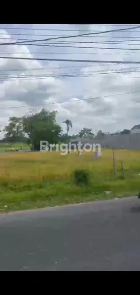 image TANAH PEKARANGAN DI LINGKUNGAN PERSAWAHAN  (2)