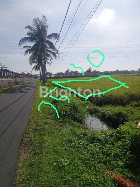 image TANAH PANTAI KEDUNGU (1)