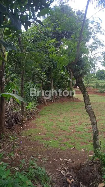 image CUMA 1,5 JUTA/M TANAH LOKASI STRATEGIS, COCOK UNTUK BANGUN CLUSTER (3)